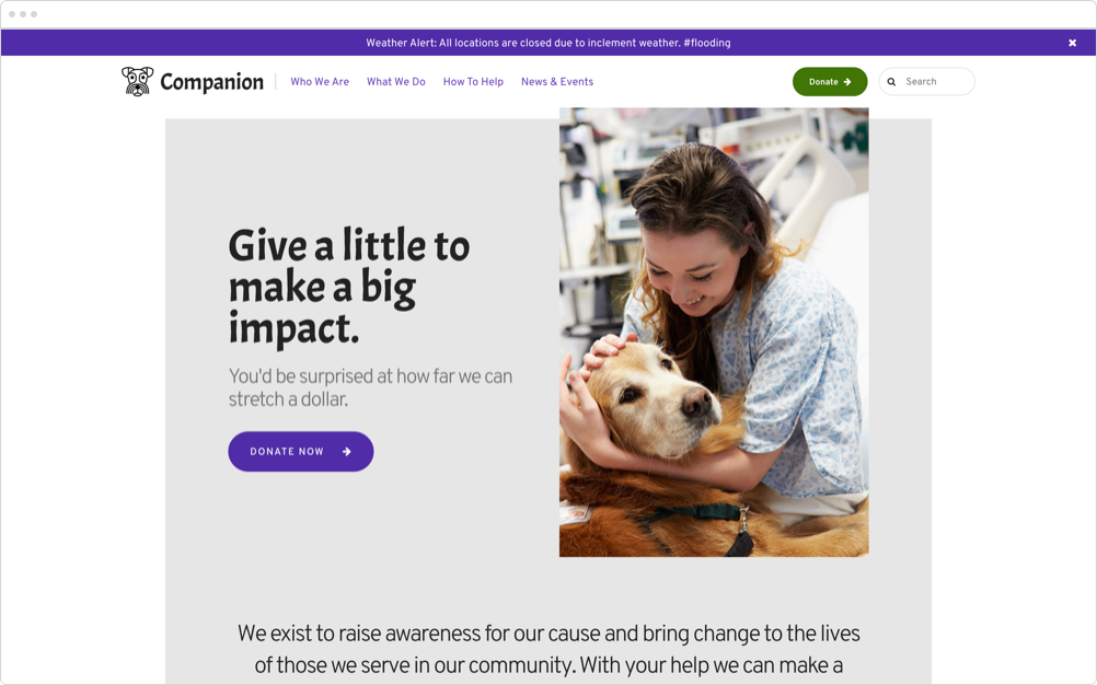 Nonprofit Website Design Companion