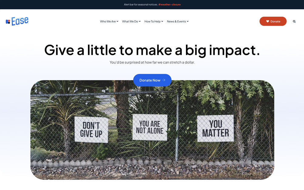 Ease nonprofit website theme, desktop preview with default content