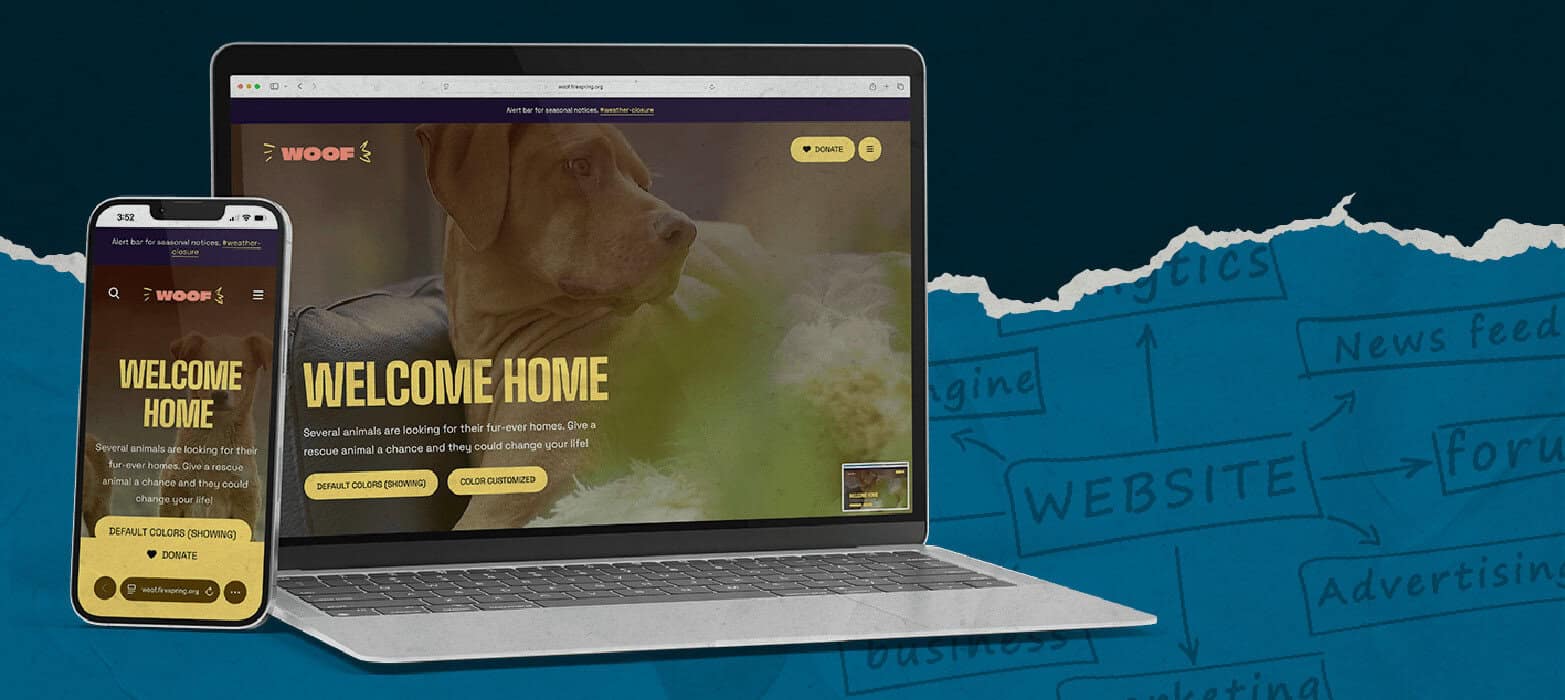 An Inside Look at Firespring’s Nonprofit Websites