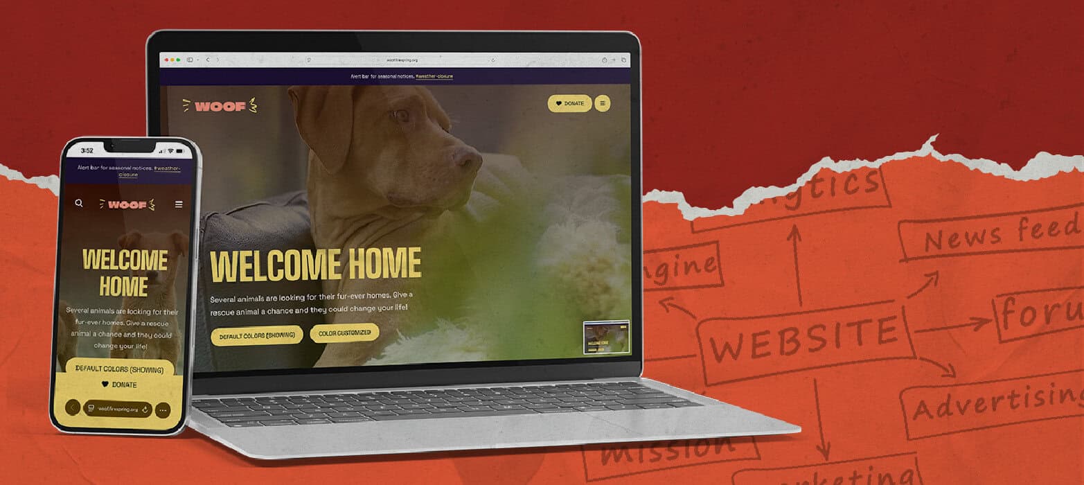 An Inside Look at Firespring’s Nonprofit Websites